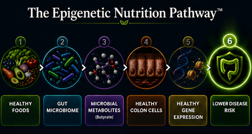 Human intervention studies show that dietary changes capable of altering microbial metabolism can also influence clinically meaningful health outcomes, reinforcing the central principle of EpiNutrition™: healthy food choices shape biology, and healthy biology supports lifelong health.
