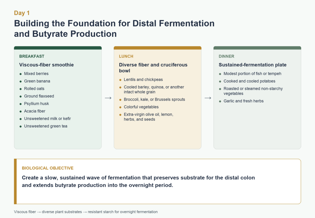 Day 1 Epigenetic Diet meal sequence supporting distal fermentation and butyrate production.