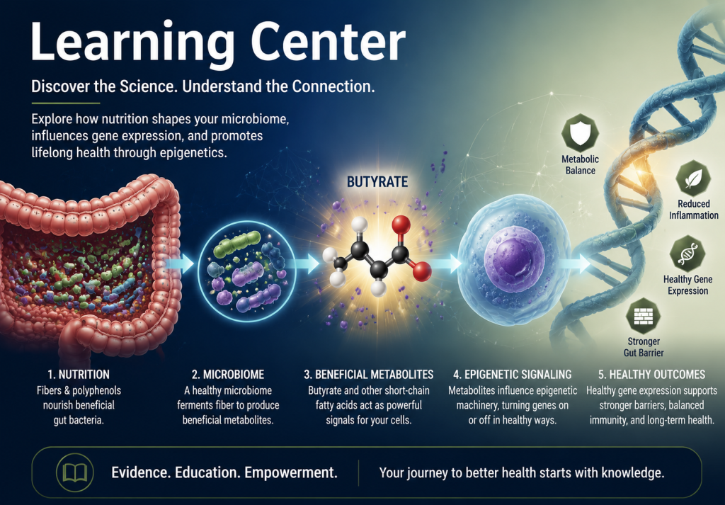 Nutrition:  Fibers and polyphenols nourish benefical gut bacteria.
Microbiome: A healthy microbiome ferments fiber to produce beneficial metabolites.
Beneficial Metabolites: butyrate and  other short chain fatty acids act as powerful signals for your cells
Epigenetic signaling:   Metabolites influence epigenetic machinery, turning genes on or off in healthy ways
Healthy Outcomes:  healthy gene expression supports stronger barriers, balanced immunity, and logn-term health