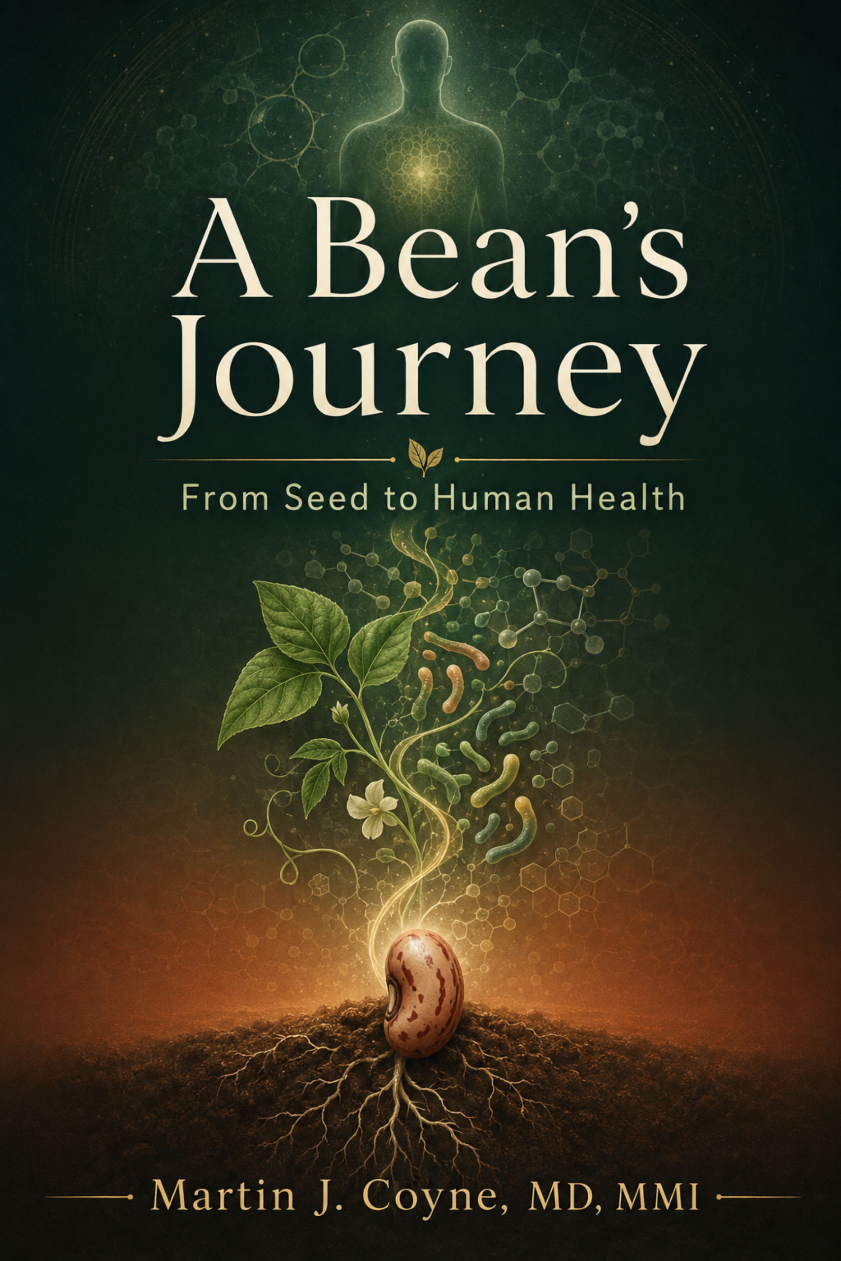 A Bean’s Journey book cover